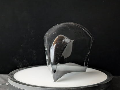 Avian MK3 Protogen Visor — PETG Tinted Black, Magnetic Frame Included, Bird / Raptor Style